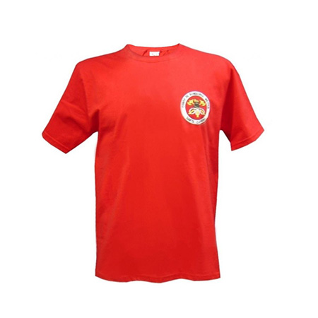 Camiseta silkada gola careca